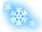 snowflake01-005